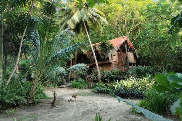 eco-friendly landscaping tips